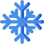 snowflake icon